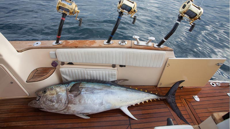 alanya fishing recommendation