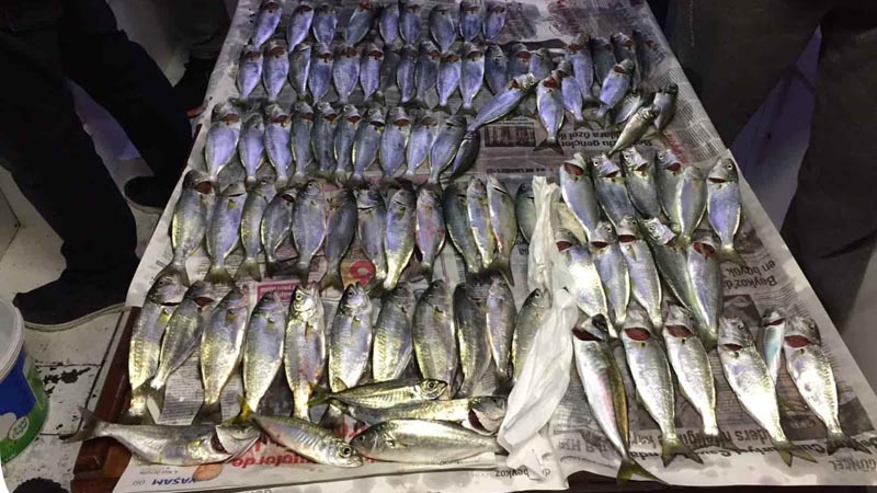 alanya fishing recommendation